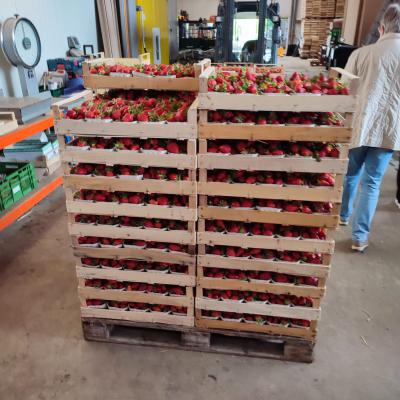 21l Obst Und Spargelhof Wurth