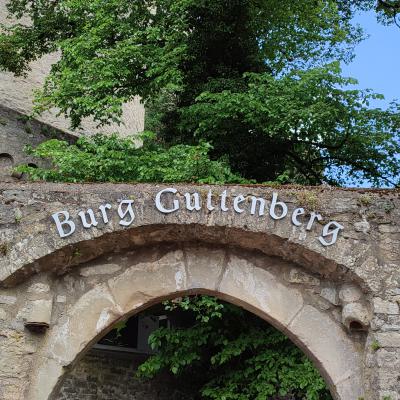 Burg Guttenberg 1