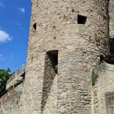 Burg Guttenberg 2