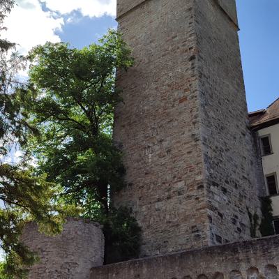 Burg Guttenberg 3