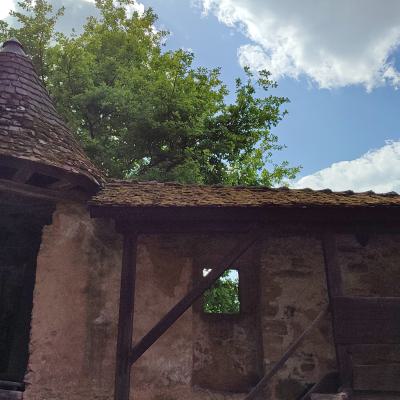 Burg Guttenberg 4