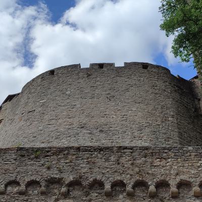 Burg Guttenberg 5