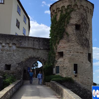Burg Guttenberg 6