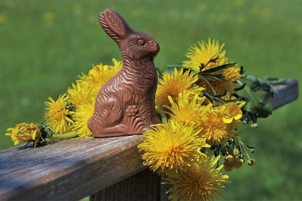 Bald ist es soweit,  oh du schöne Osterzeit !