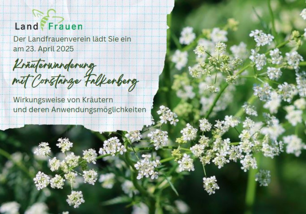 Kraeuterwanderung